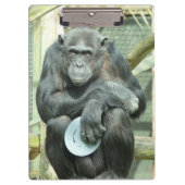 GRAPPIGE CHIMPANSEE KLEMBORD (Voorkant)