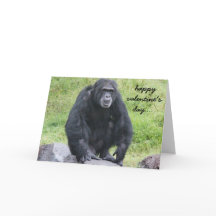 Grappige chimpansee Valentijn, wil je een aapje in