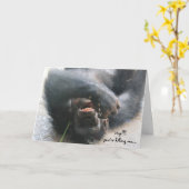 Grappige Chimpansee Verjaardag Kaart, Over the Hil Kaart (Gele Bloem)