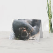 Grappige Chimpansee Verjaardag Kaart, Over the Hil Kaart (Voorkant)