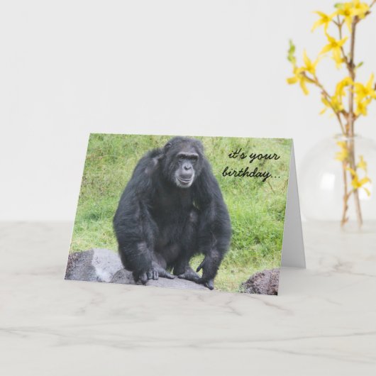 Grappige chimpansee verjaardag, wil je een aap in  kaart (Gele Bloem)