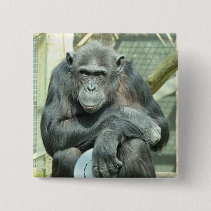 GRAPPIGE CHIMPANSEE VIERKANTE BUTTON 5,1 CM