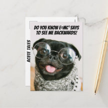 Grappige Chinese Pug Schattige Puppy Hond Dierenth