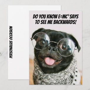 Grappige Chinese Pug Schattige Puppy Hond Dierenth Feestdagenkaart