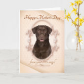 Grappige Chocolate Lab Moederdag Kaart (Gele Bloem)