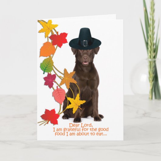 Grappige Chocolate Lab Thanksgiving Kaart (Voorkant)