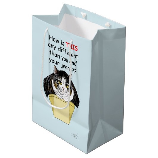 Grappige Chubby Tabby Cat Box Medium Cadeauzakje (Voorkant Gekanteld)