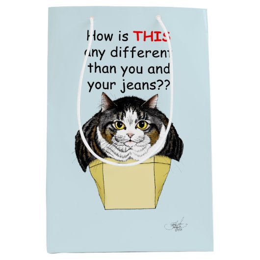 Grappige Chubby Tabby Cat Box Medium Cadeauzakje (Voorkant)