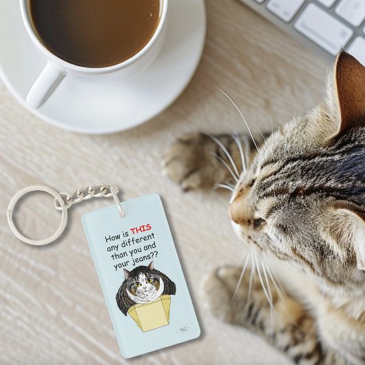 Grappige Chubby Tabby Cat Box Sleutelhanger