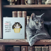 Grappige Chubby Tabby Cat Box Tegeltje