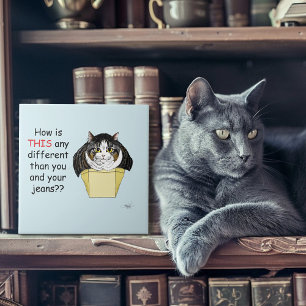 Grappige Chubby Tabby Cat Box Tegeltje