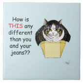 Grappige Chubby Tabby Cat Box Tegeltje (Voorkant)