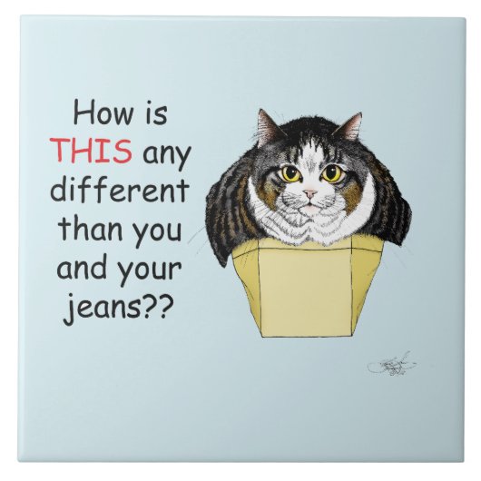 Grappige Chubby Tabby Cat Box Tegeltje (Voorkant)