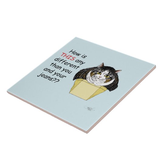 Grappige Chubby Tabby Cat Box Tegeltje (Zijkant)