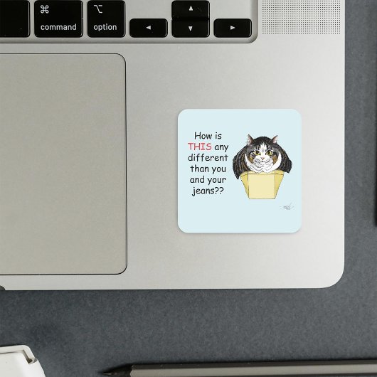 Grappige Chubby Tabby Cat Box Vierkante Sticker