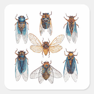 Grappige Cicaden Insect Bug Grafisch Cicade Liefhe Vierkante Sticker