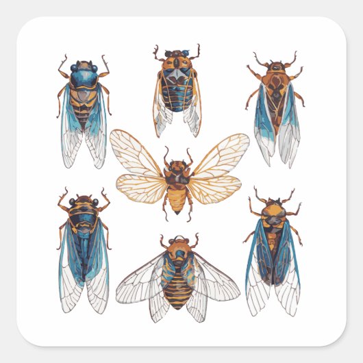 Grappige Cicaden Insect Bug Grafisch Cicade Liefhe Vierkante Sticker (Voorkant)