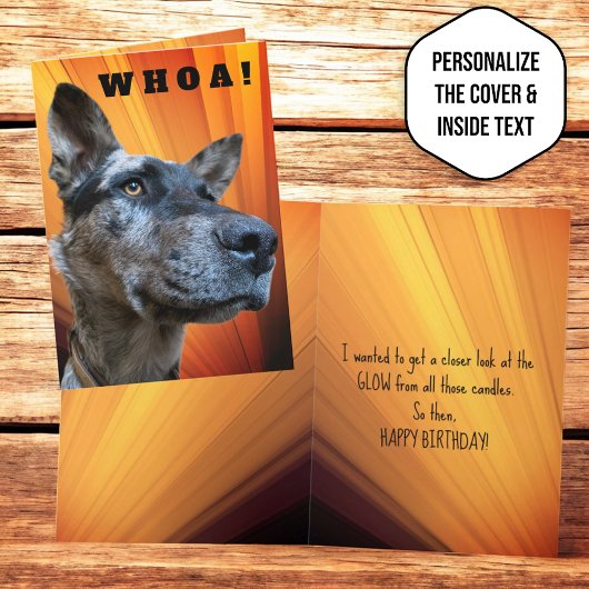 Grappige Close-up foto Runderhond Kop Kaart