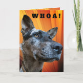 Grappige Close-up foto Runderhond Kop Kaart (Voorkant)