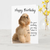Grappige Cocker Spaniel Verjaardagskaart Kaart (Gele Bloem)