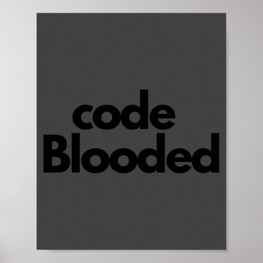 Grappige codeur computerprogrammeur poster (Voorkant)