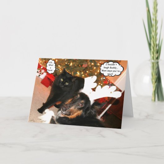 Grappige Collie & Zwarte Kerstkaart 2 van de Kat Feestdagen Kaart (Voorkant)