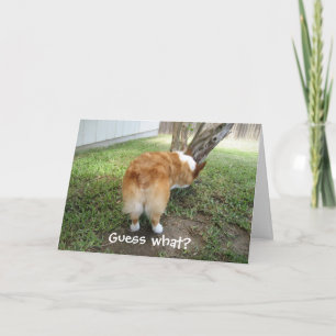 Grappige Corgi Kaart