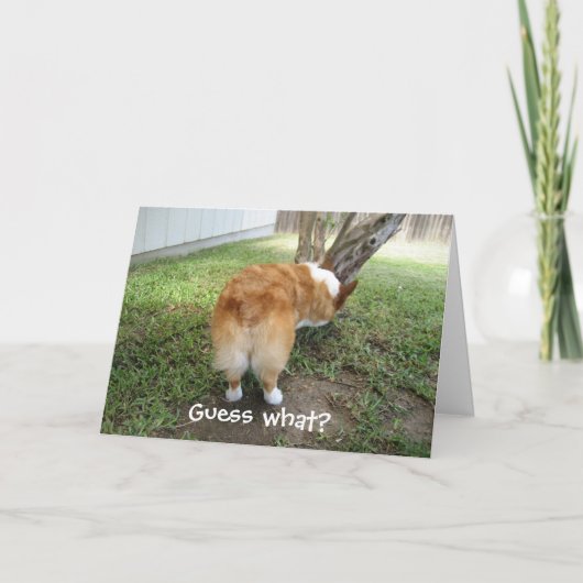 Grappige Corgi Kaart (Voorkant)