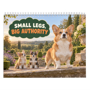 Grappige Corgi Kleine Benen Grote Autoriteit Kalender
