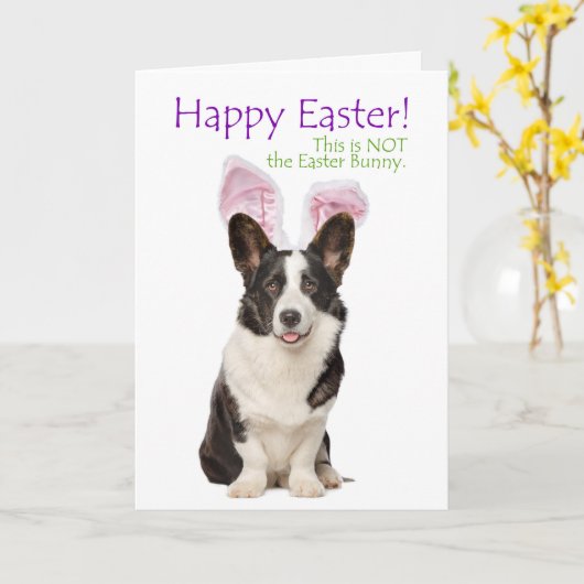 Grappige Corgi Paas Kaart (Gele Bloem)