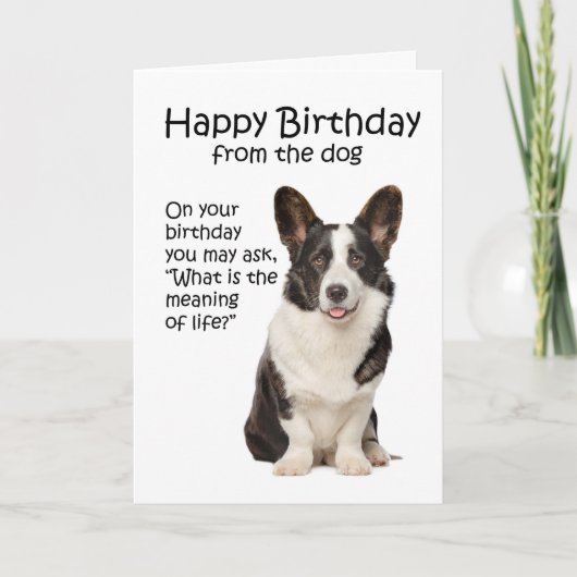 Grappige Corgi Verjaardagskaart Kaart (Voorkant)