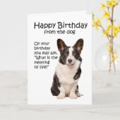 Grappige Corgi Verjaardagskaart Kaart (Gele Bloem)
