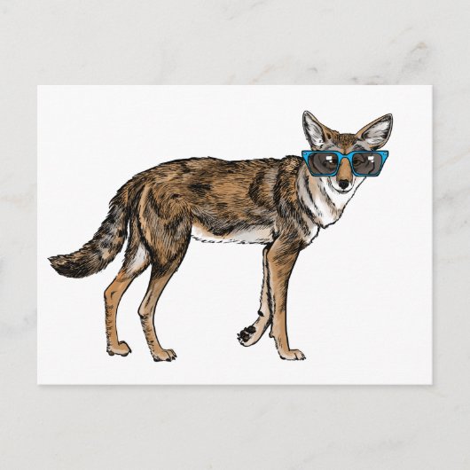 Grappige Coyote Hipster met Zonnebril Briefkaart (Voorkant)