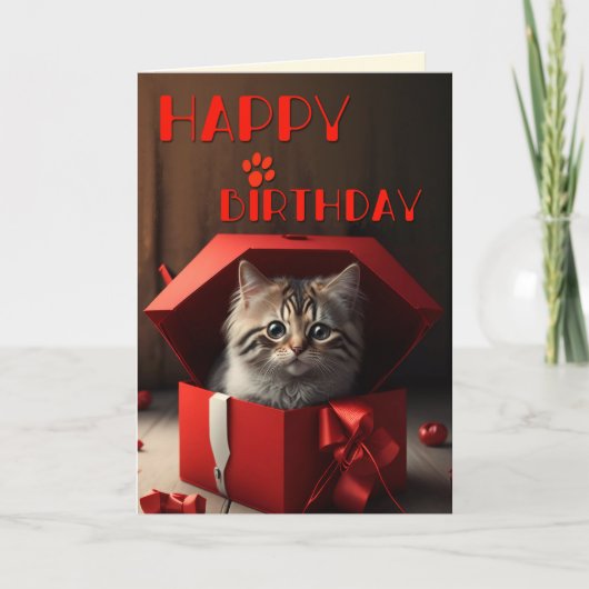 Grappige Crazy Cat Lady Verjaardag Kaart (Voorkant)