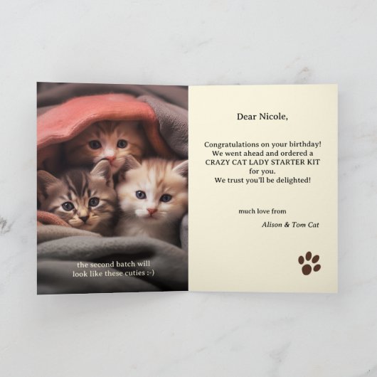 Grappige Crazy Cat Lady Verjaardag Kaart (Binnen)