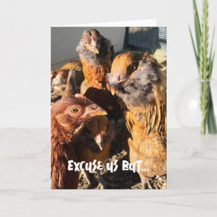 Grappige Curious Amber Brown Chickens Close-up Fot Kaart