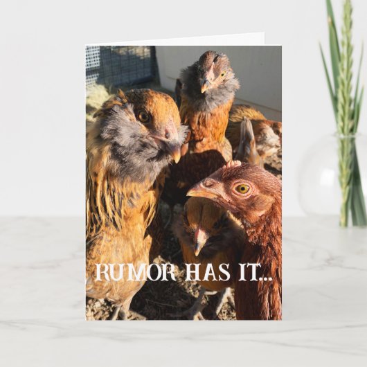 Grappige Curious Amber Brown Chickens Close-up Fot Kaart (Voorkant)