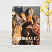 Grappige Curious Amber Brown Chickens Close-up Fot Kaart (Gele Bloem)