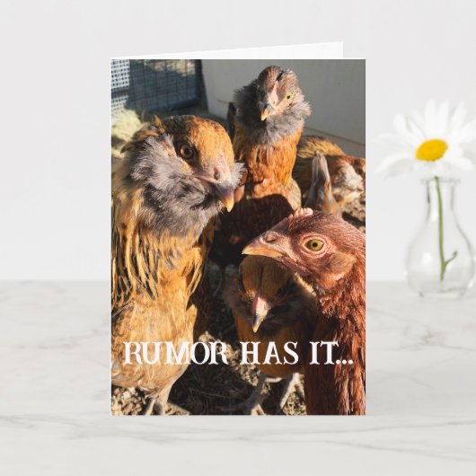 Grappige Curious Amber Brown Chickens Close-up Fot Kaart (Kleine Plant)