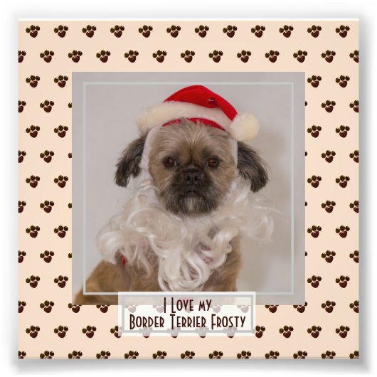 Grappige Cute Border Terrier FOTO Aandenken Afdruk (Voorkant)