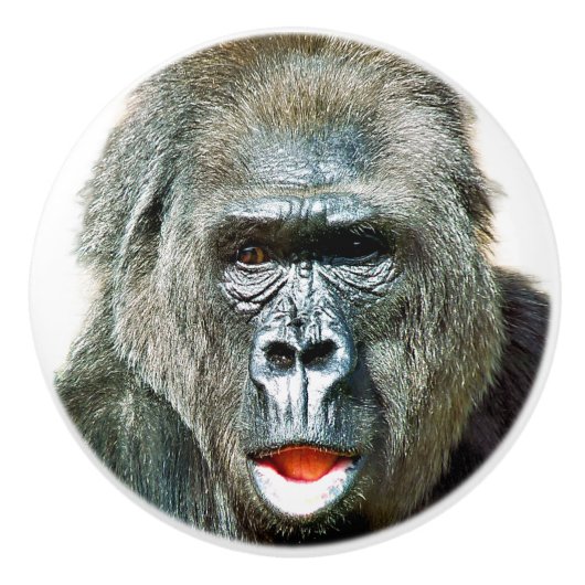 GRAPPIGE CUTE GORILLA KERAMISCHE KNOP (Voorkant)