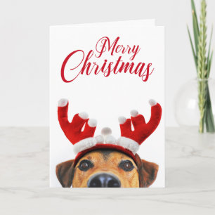 Grappige Cute Hond Rendier Geweiband Kerstmis Kaart