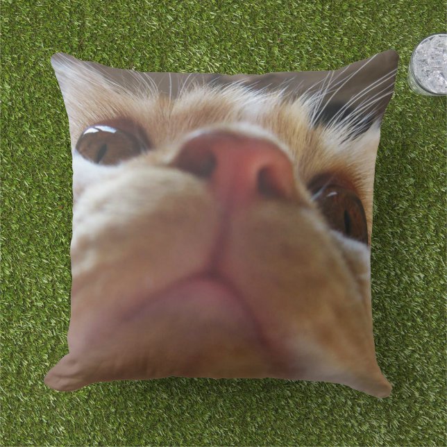 Grappige Cute Kat Macro Ogen Buitenkussen (Gras)