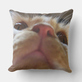 Grappige Cute Kat Macro Ogen Buitenkussen