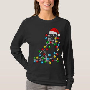 Grappige Dachshund Christmas Tree Lights Led Dog D T-shirt
