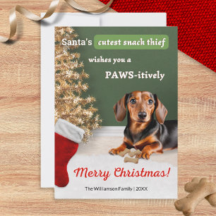 Grappige Dachshund Hond Dier Kerst Humor Feestdagenkaart