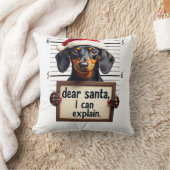Grappige Dachshund Kerstman Lieve Sint Ik Kan Het Kussen (Deken)