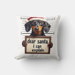 Grappige Dachshund Kerstman Lieve Sint Ik Kan Het Kussen