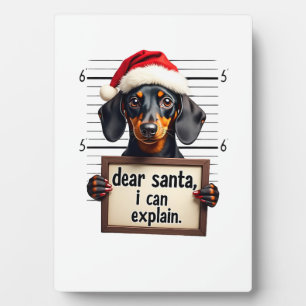 Grappige Dachshund Kerstmis Lieve Sint Ik Kan Het Fotoplaat
