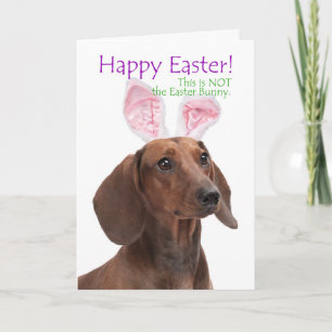 Grappige Dachshund Pasen Kaart